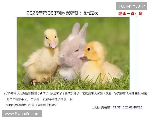 2025年澳门开奖结果完整版详解与分析